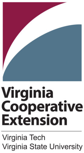 Logo VCE