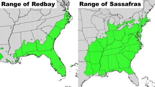 Ranges of impacted species in Virginia