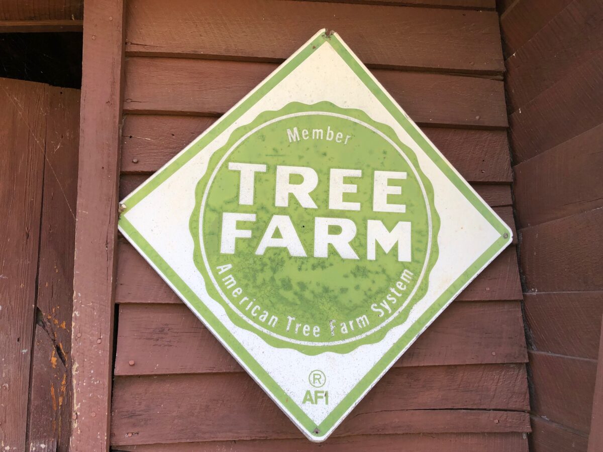 Vintage Tree Farm Sign at FM