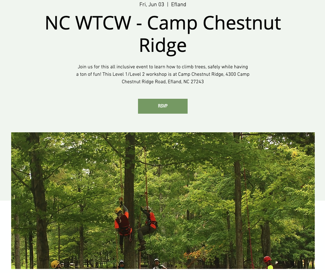 Women's Tree Climbing Workshop