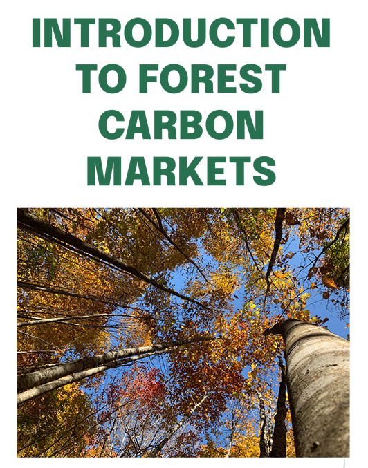 Introduction to Forest Carbon Markets