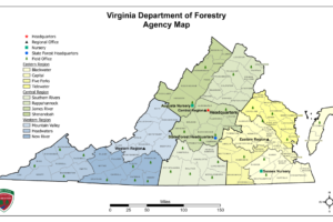 Virginia Department of Forestry Agency Organization Map