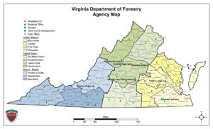 Virginia Department of Forestry Agency Organization Map