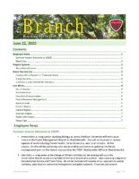 The Branch Employee Newsletter 2020-06-22