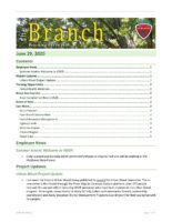 The Branch Employee Newsletter 2020-06-29