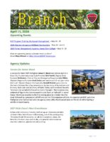 The Branch Employee Newsletter 2024-04-15