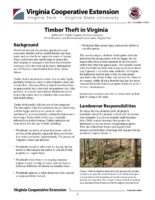 Timber Theft in Virginia
