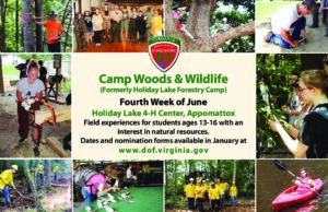 Camp Woods and Wildlife Postcard Advertising Camp