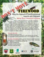 Don't Move Firewood Flyer