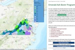 Emerald Ash Borer Program