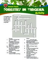 Forest Facts: Forestry in Virginia - Crossword Puzzle