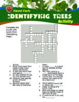 Forest Facts: Identifying Trees - Crossword Puzzle