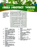 Forest Facts: Trees Protect Water - Crossword Puzzle
