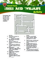 Forest Facts: Trees and Wildlife - Crossword Puzzle