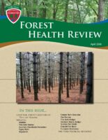 Forest Health Review 2006-04