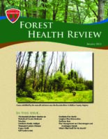 Forest Health Review 2013-01
