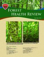 Forest Health Review 2014-12