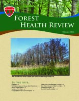 Forest Health Review 2016-02