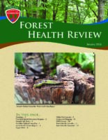 Forest Health Review 2018-01