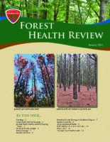 Forest Health Review 2021-01