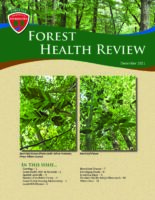 Forest Health Review 2021-12