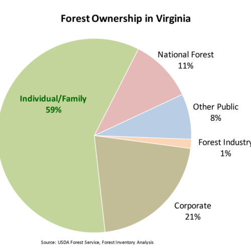 Forest Ownership in Virginia Chart
