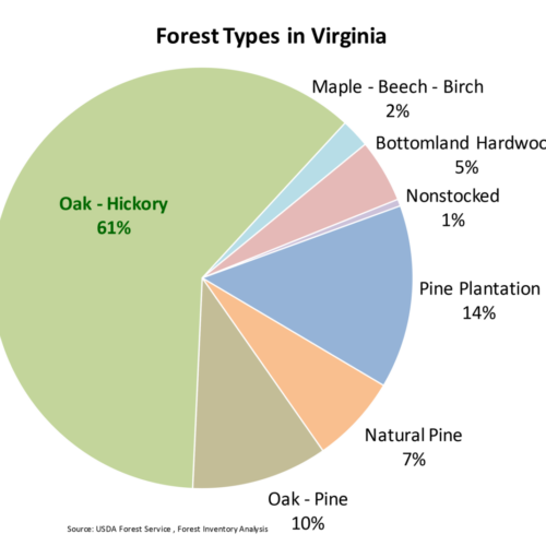 Forest Types in Virginia Chart