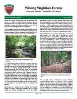 Valuing Virginia's Forests - Ecosystem Benefits Provided by Our Forests