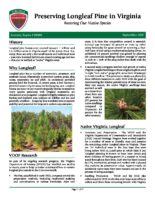 Preserving Longleaf Pine in Virginia - Restoring Our Native Species