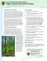 Logger Incentive Cost-Share Program - First Commercial Pine Thinning