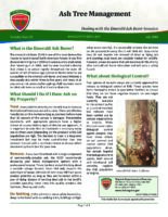 Ash Tree Management - Dealing with the Emerald Ash Borer Invasion