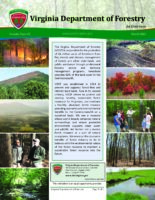 Virginia Department of Forestry - An Overview