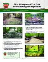 Best Management Practices: Brush Matting and Vegetation - Examples