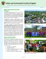 Urban and Community Forestry Programs - Resources for Trees in Our Communities, Cities and Towns