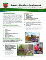 Forestry Workforce Development – Working to Develop a Strong Workforce for the Future