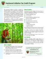 Hardwood Initiative Tax Credit Program - Offering Tax Incentives for Hardwood Management