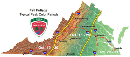 General timing of fall foliage season, in years of typical rainfall and temperatures