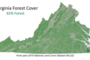 Virginia Forest Cover Map