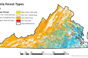 Forest Types in Virginia Map