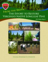 From the Brink! The Effort to Restore Virginia's Native Longleaf Pine - 2014 Status Report