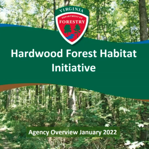 Hardwood Forest Habitat Initiative Update Webinar 01/20/2022