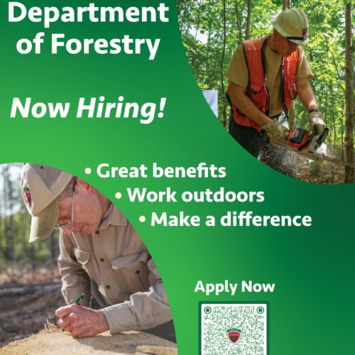 Virginia Department of Forestry New Hiring Flyer