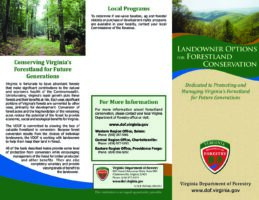 Landowner Options for Forestland Conservation