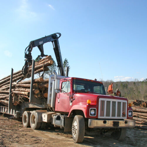 Attn: Field Staff - Pandemic Assistance for Timber Harvesters and Haulers Available