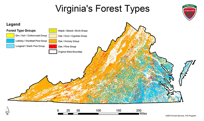 Virginia National Forest Map