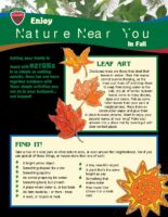 Enjoy Nature Near You in Fall