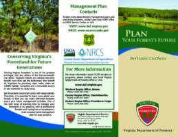 Plan Your Forest's Future