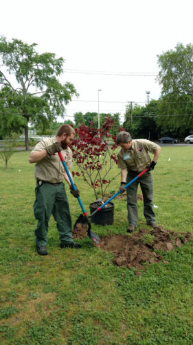 Planting Trees : Virginia Department of Forestry