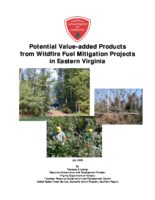 Potential Value-added Products from Wildfire Fuel Mitigation Projects in Eastern Virginia