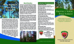 Protect Your Pine Forest